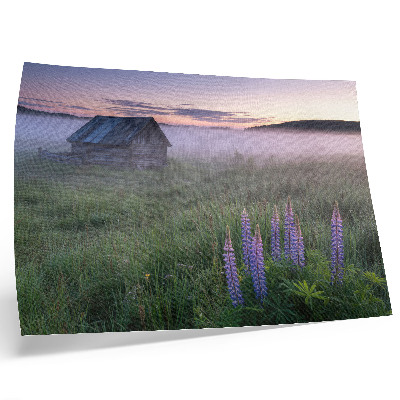 Decorative canvas print Wooden cottage picturesque fog flowers nature