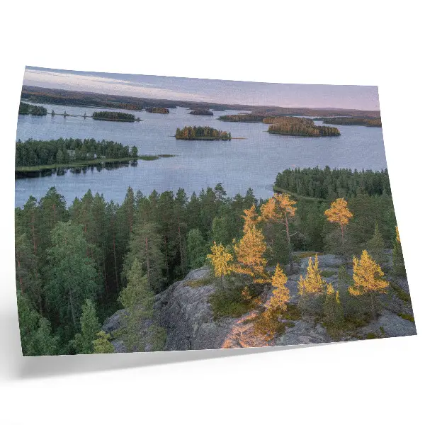 Poster pine forest island lake with a pastel sky