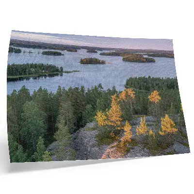 Poster pine forest island lake with a pastel sky