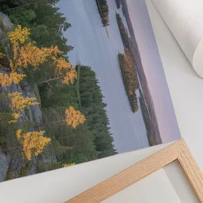 Poster pine forest island lake with a pastel sky
