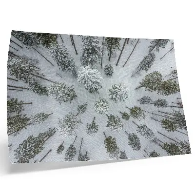 Photo canvas winter forest with minimalist nature theme