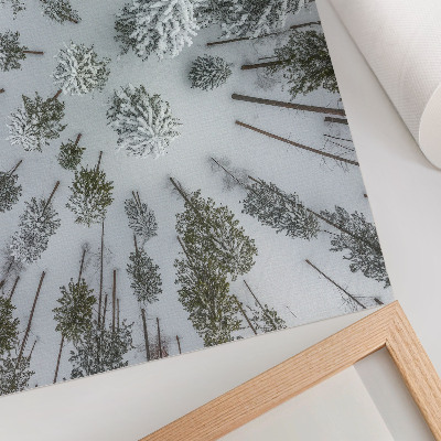 Photo canvas Winter forest peace minimalism naturalness