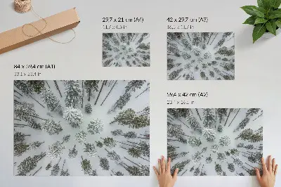 Photo canvas winter forest with minimalist nature theme