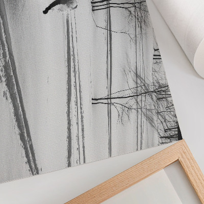 Poster Snowboarder in action snow trees contrasts