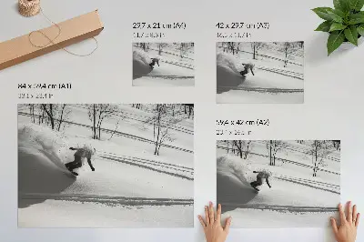 Poster snowboarder in action among snowy trees with high contrast