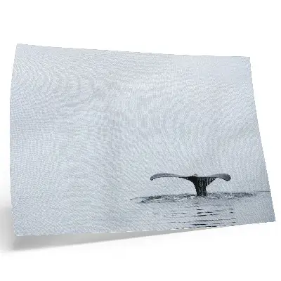 Whale tail minimalism art poster minimalist harmony above water design