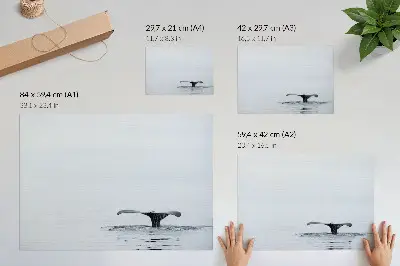 Whale tail minimalism art poster minimalist harmony above water design