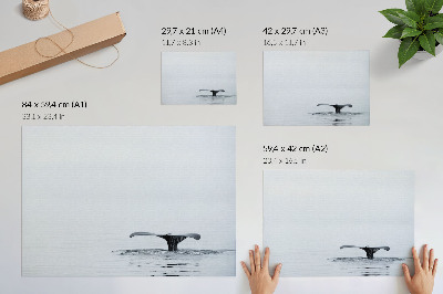 Poster Whale tail above water minimalism harmony