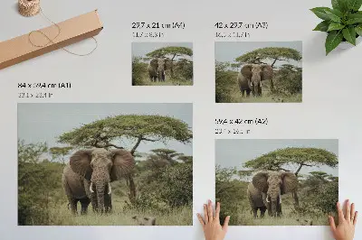 Poster an elephant against a green savannah background