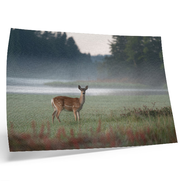 Poster Deer against the background of misty meadows and forest