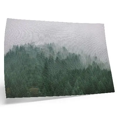 Decorative canvas print a misty forest panorama in green and gray