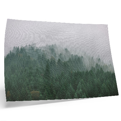 Decorative canvas print A misty panorama of the forest full of green and gray