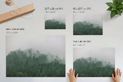 Decorative canvas print a misty forest panorama in green and gray