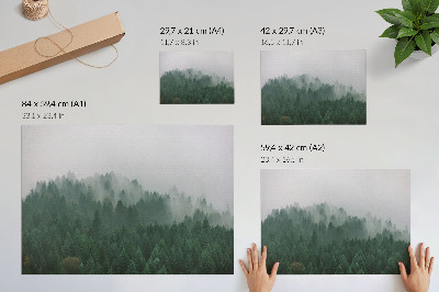 Decorative canvas print A misty panorama of the forest full of green and gray