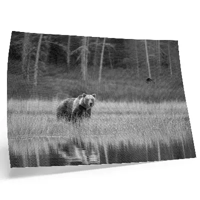 Poster bear by the water in a black and white atmospheric style