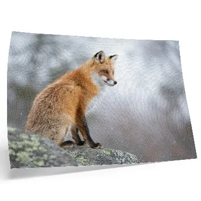 Decorative canvas print fox in a winter forest landscape