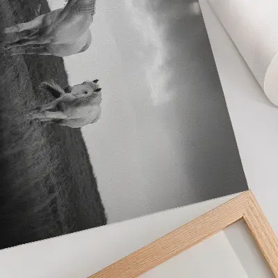 Photo canvas white horses in a gray meadow