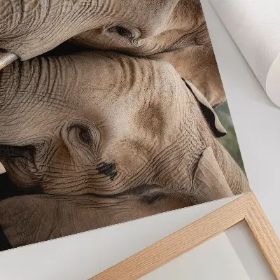 Photo canvas two large elephants in warm shades