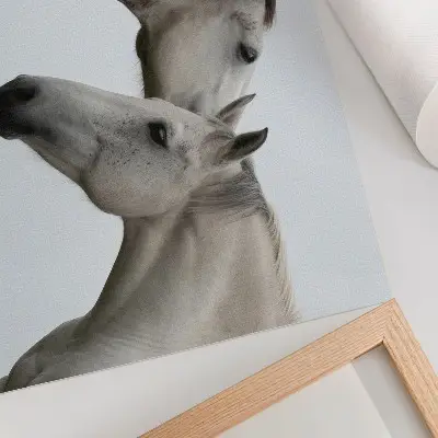Two horses in harmony of gray and white poster 