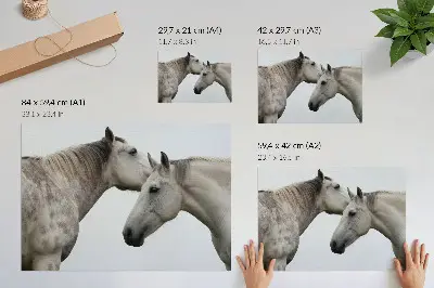 Two horses in harmony of gray and white poster 