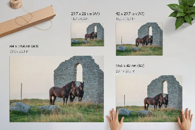 Decorative canvas print The contrast of ruins and horses in the greenery