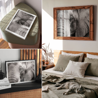 Poster Monochrome elephant details minimalism elegance