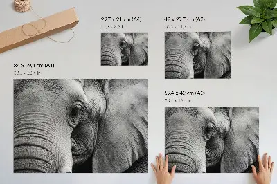 Elephant poster minimalist monochrome detail art print