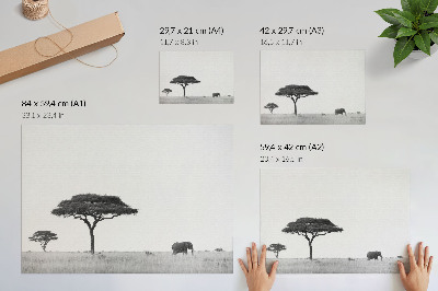 Photo canvas Elephant and acacias on the savannah in a subtle range