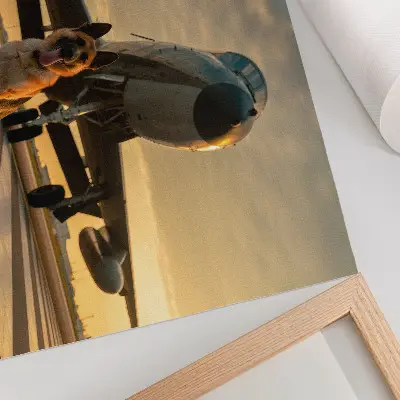 Decorative canvas print dog and plane in the sunset