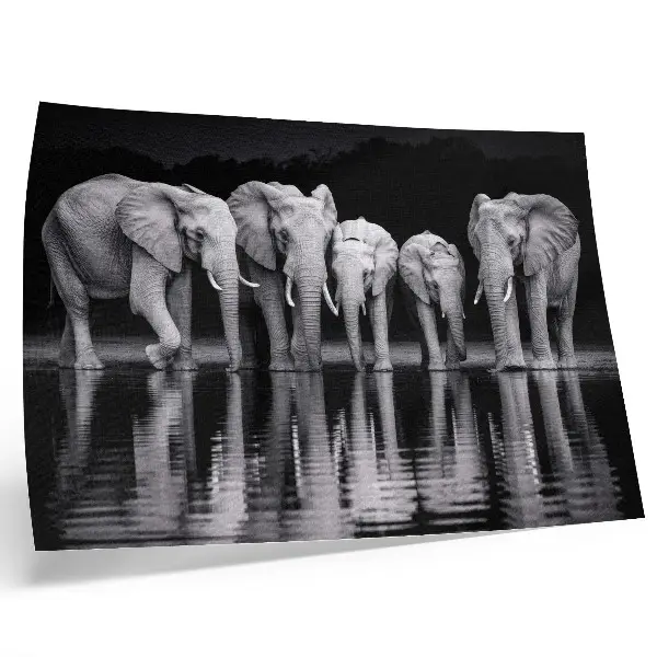 Elephants by the water poster peaceful harmony and reflection