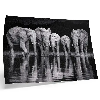 Elephants by the water poster peaceful harmony and reflection