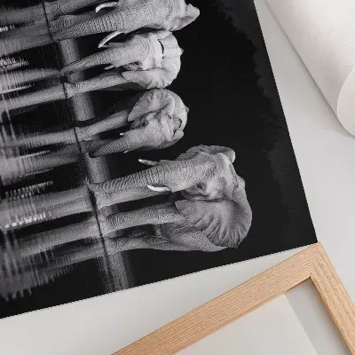 Elephants by the water poster peaceful harmony and reflection