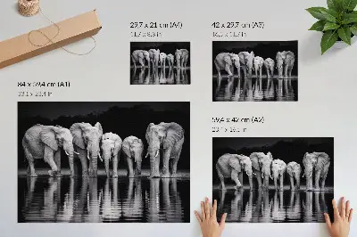 Elephants by the water poster peaceful harmony and reflection