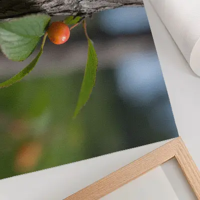 Orange fruit green leaves brown bark poster orange fruit with green leaves and brown bark