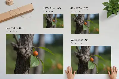 Orange fruit green leaves brown bark poster orange fruit with green leaves and brown bark