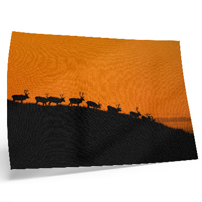 Photo canvas Silhouettes of deer on a hill with an orange background