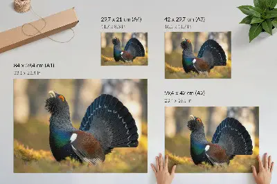 Photo canvas beautiful bird in the forest with spread tail feathers