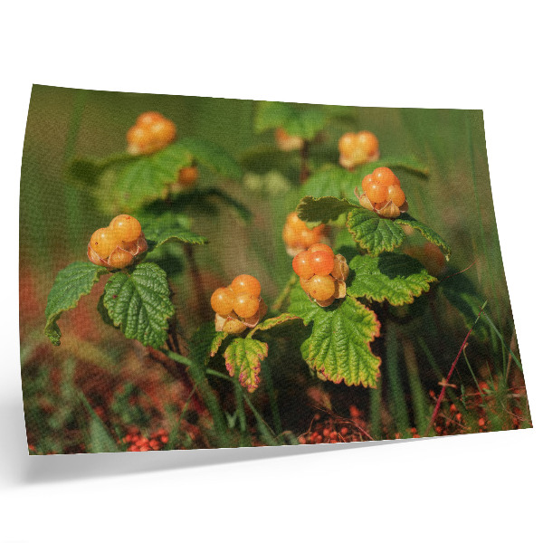 Decorative canvas print Green leaves orange fruits natural charm