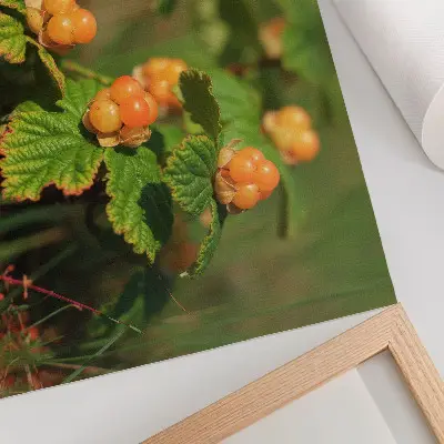 Decorative canvas print green leaves and orange fruits with natural charm
