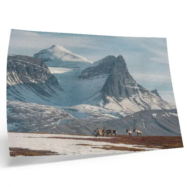 Photo canvas picturesque mountain reindeer winter landscape
