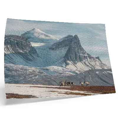 Photo canvas picturesque mountain reindeer winter landscape
