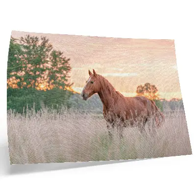 Horse in the meadow poster morning scene in pastel colors for relaxation
