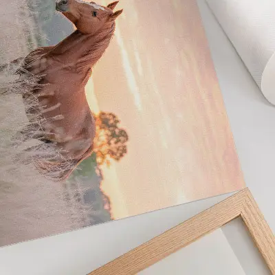 Horse in the meadow poster morning scene in pastel colors for relaxation