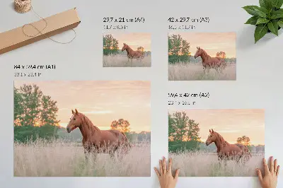 Horse in the meadow poster morning scene in pastel colors for relaxation