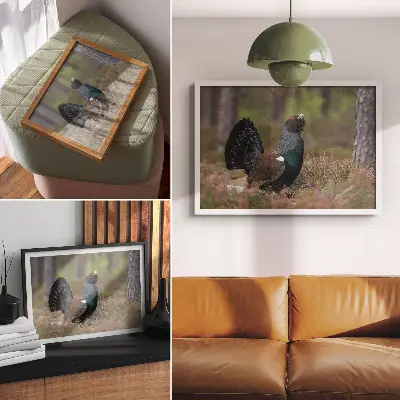 Poster bird colors in a peaceful forest atmosphere