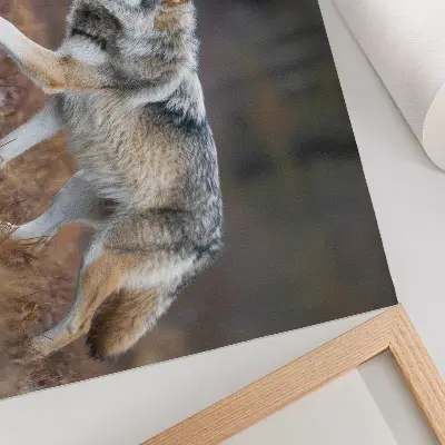 Decorative canvas print featuring a wolf in motion within a wild landscape