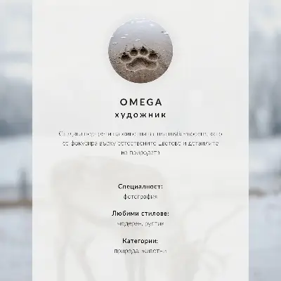 Decorative canvas print featuring a wolf in motion within a wild landscape