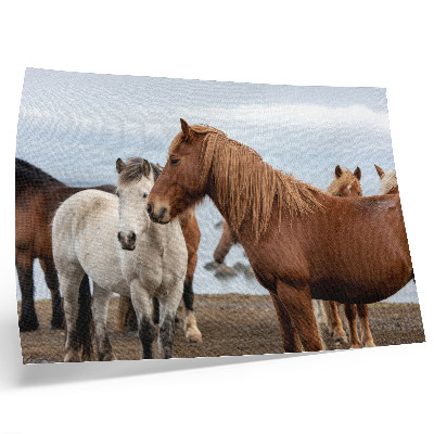 Poster The natural beauty of horses against the backdrop of the landscape