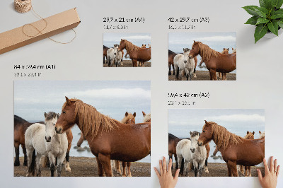 Poster The natural beauty of horses against the backdrop of the landscape