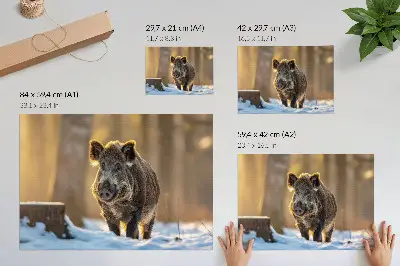 Decorative canvas print a wild boar in a winter forest with sunlight